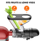 Masticating Juicer Attachment for Stand Mixers, Slow Cold Press Juicer with Dual Feed Chute for Fruits and Vegetables