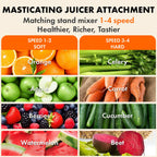 Masticating Juicer Attachment for Stand Mixers, Slow Cold Press Juicer with Dual Feed Chute for Fruits and Vegetables