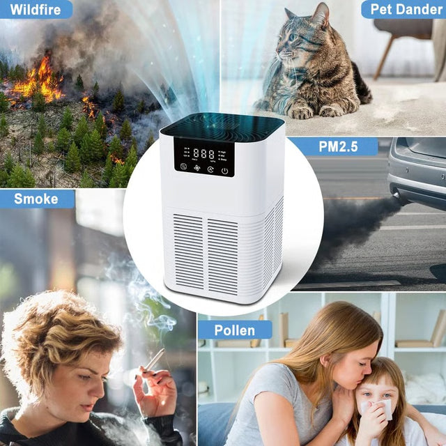 Smoke Odor Air Purifier with HEPA Filter, Negative Ion Function, and Aromatherapy Feature for Home Use